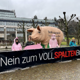 Einladung: Riesenschwein Grunzi tourt durch Kärnten 
