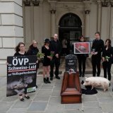 Schweine-Vollspalten: Begräbnis, Sarg und Grabstein vor ÖVP-Zentrale und Parlament