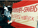 Stierkampfdemo vor  der spanischen Botschaft in Wien