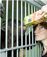 David Diaz, Great Ape Project Spanien besucht Hiasl