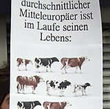 Erster Bundesweiter Aktionstag gegen Schlachthäuser und Metzgereien am 30 Jänner 2010, Proteste auch in Tirol und Oberösterreich!