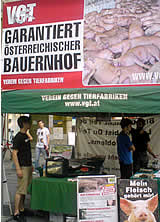 Informationsarbeit in Graz: Info-Demos thematisieren Nutztierhaltung