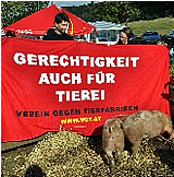Proteste beim Schweinerennen in Kalch, Burgenland