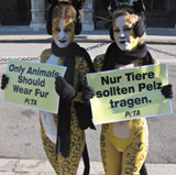 PETAs "Raubkatzen" protestieren gegen Pelz