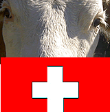 Schweiz: Vorzeigeland in punkto Tierschutz