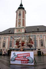 Nackte Tierschützer am St. Pöltner Rathausplatz fordern strenges Tierversuchsgesetz