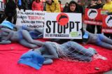 VGT-Protest: 6 nackte AktivistInnen als Delfine gegen das Massaker in Japan