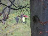 TierschützerInnen behindern Treibjagd auf Fasane und Hasen bei Riegersburg