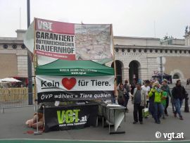 VGT Stand