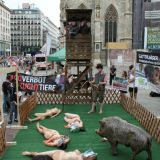 Protest: VGT stellt Jagdgatter am Stephansplatz im Wiener Stadtzentrum auf