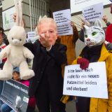 Tierversuche: Krampus ermahnt Wissenschaftsminister