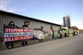 AktivistInnen stehen mit Bannern vor einem Schweinebetrieb