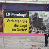 Nach Verbot im Burgenland und in Wien: Täglich Demos gegen die Gatterjagd in NÖ