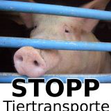 ANKÜNDIGUNG: Samstag, 03. Juni – VGT-Demo STOPP Tiertransporte in Wien