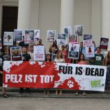 Tierschutzprotest vor der Bulgarischen Botschaft gegen die Legalisierung illegaler Pelzfarmen