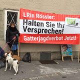 Salzburg: Wann kommt versprochenes Gatterjagdverbot? - heute Demo vor Landesregierung