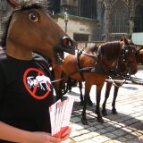 Einladung: Morgen Dienstag Tierschutzaktion zu Fiakern am Michaelerplatz in Wien