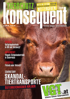 Titelseite der Sommerausgabe 2018 des Tierschutz konsequent Magazins