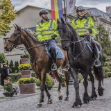 Pferde bei der Polizei: Was hat die FPÖ da nur geritten?