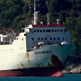 Tiertransport per Schiff: Österreichs grausamer Milchkälber-Export