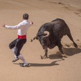 Sieg für den Tierschutz: Keine Stierkämpfe in Belarus