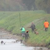 VGT dokumentiert illegale Jagd auf Zuchtenten an der Leitha im Nordburgenland