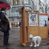 VGT  tourt mit Pro-Wolf Ausstellung durch Österreich und startet Petition für Wolfsschutz