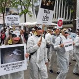 500 Menschen protestierten in Wien gegen Kälbertransporte