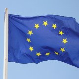 EU fordert „physisch angenehmen“ Boden für Schweine