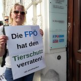 FPÖ lehnt Verbot Vollspalten Schweine ab: VGT demonstriert vor Bundesgeschäftsstelle