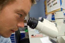 Forscher blickt in ein Mikroskop