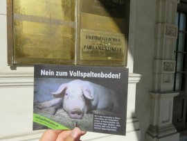 Schweine-Flugblatt vor der Tür zum FPÖ-Büro.