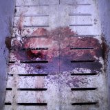 VGT deckt erneut Skandal-Tierfabrik auf: brutalste Tierhaltung als „artgerecht“ verkauft