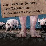 Virtuelle VGT-Protestaktion: Tierschützer_innen kritisieren AMA für Vollspaltenboden