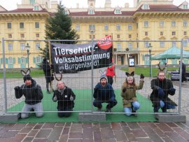 Aktivist:innen als verletzte Rehe vor dem Schloss Esterhazy