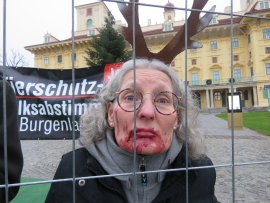 Aktivist:in als verletztes Reh hinter einem Zaun