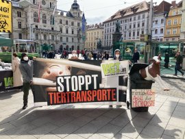 Kundgebung in Graz