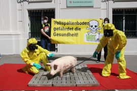 Aktivist:innen in Seuchenschutzanzügen halten sich ein Schwein auf Distanz