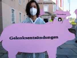 Aktivistin mit einem Pappschwein, das die Aufschrift Gelenksentzündungen trägt.