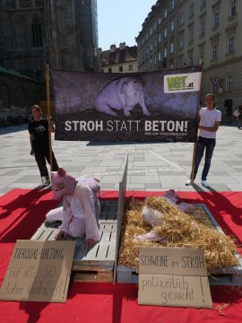 Aktivismus in Wien 2