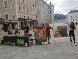 Aktivismus in Salzburg