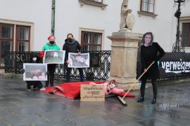 Aktivist:innen auf einer Aktion beim Schweizertor