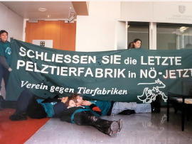 Aktivist:innen liegen zusammengekettet am Boden eines besetzten Büros während andere ein Banner halten