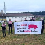 Medienspiegel: Skandal in Kärntner Schweinemast