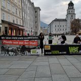 Bereits über 17.000 Unterschriften für Fiaker-Verbot in Salzburg