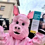 Vollspaltenbodenprotest bei Köstinger Pressekonferenz Ktn. Landesregierung Klagenfurt