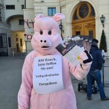 Zur Angelobung des neuen Tierschutzministers: VGT fordert Verbot Vollspaltenboden