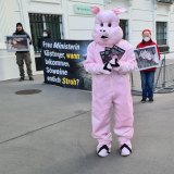 Anti-Vollspaltenboden-Protest begleitet ersten Ministerrat mit neuem Tierschutzminister
