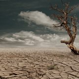 Die Klimakatastrophe eskaliert 