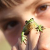 Amphibien-Retten für Kinder 